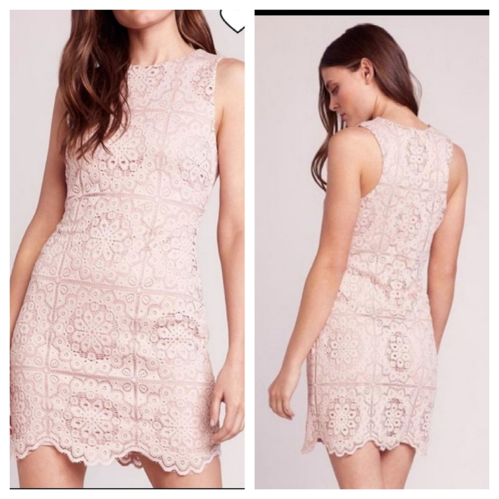 Jack by BB Dakota sheath dress pink lace sleeveless mauve rose cottagecore